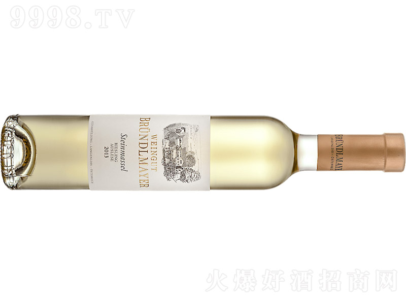 ˾SteinmasselѡѾ20139750ml